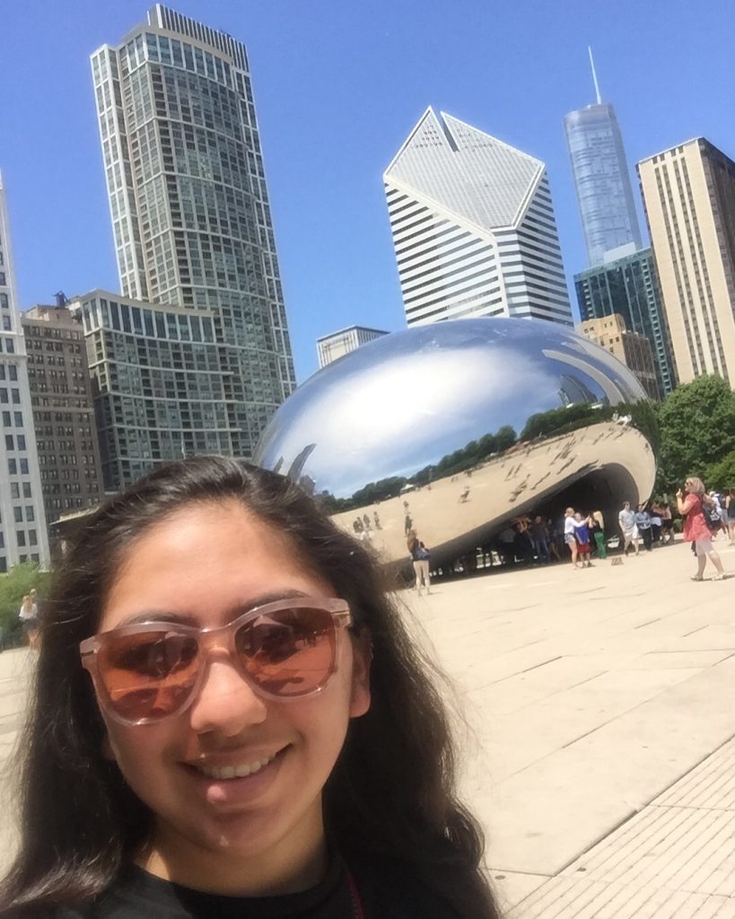 5 Things to do in Chicago, Illinois 7